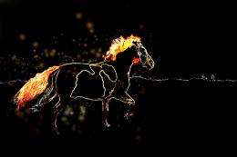 Fire Horse