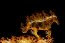 Flaming Horse!