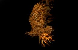 flaming eagle