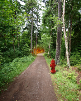 Lucky Fire Hydrant