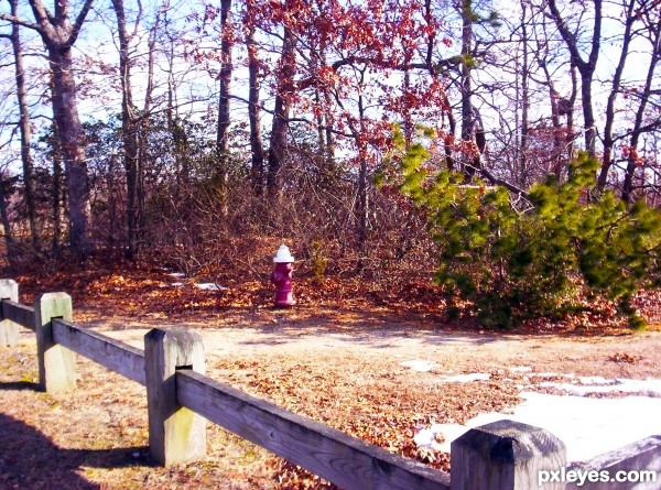 Winter Scape Hydrant