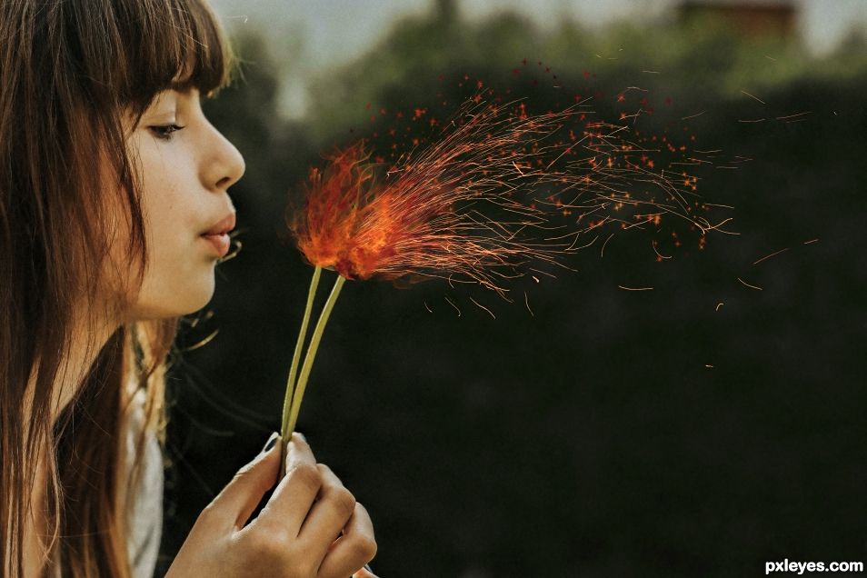 Dandelion sparkler