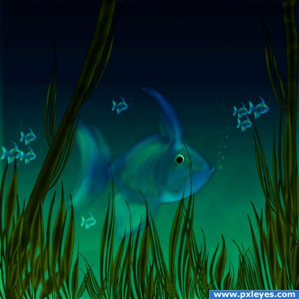 Blue Fish.....