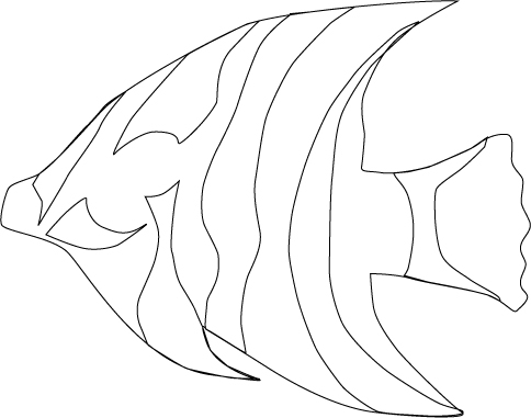 Creation of Swimming Around: Step 11