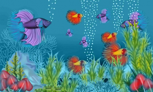 Creation of Crazy fish: Step 12