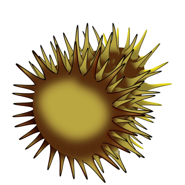 Creation of Pufferfish: Step 3