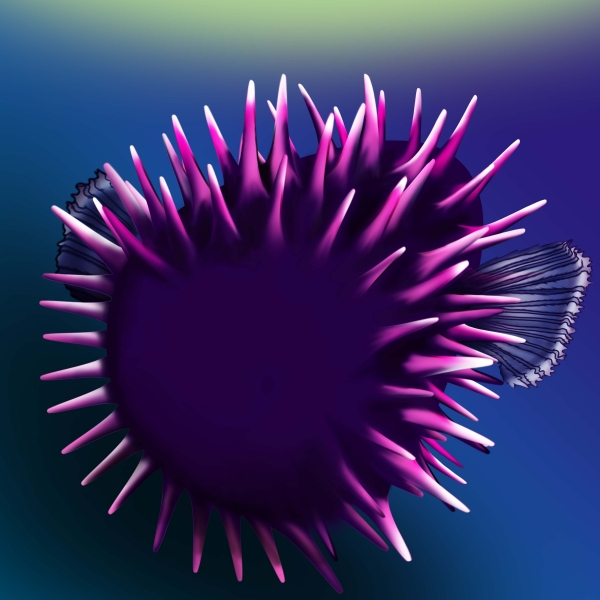 Creation of Pufferfish: Step 5
