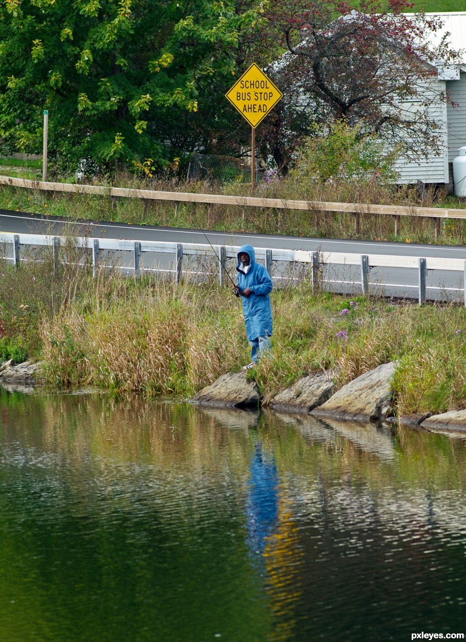 Looking for a school of fish