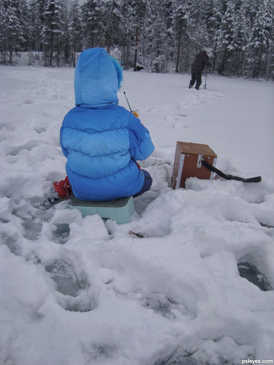 Dad, the fish can be frozen?