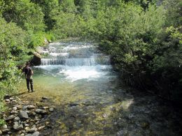 along the river 