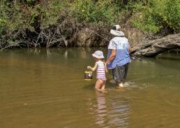 fishing in the stumps