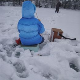 Dad, the fish can be frozen? Picture