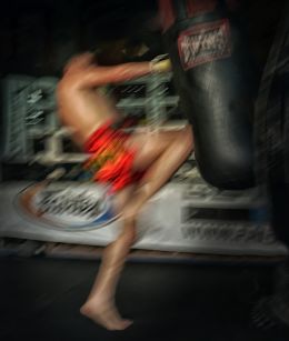 Blur of Boxer