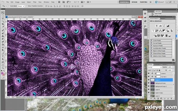 Creation of purple peacock: Step 5