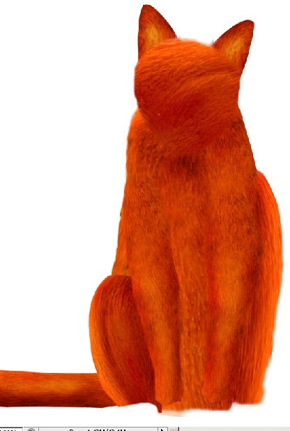 Creation of Cat: Step 4