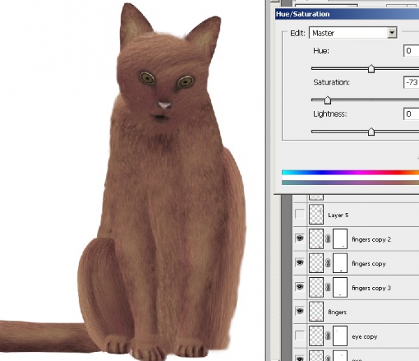 Creation of Cat: Step 8