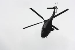 Black Hawk