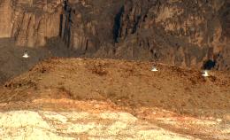 Seagulls in the Desert