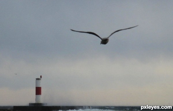 lighthouse keeper