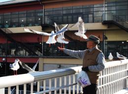 Feeding seagulls