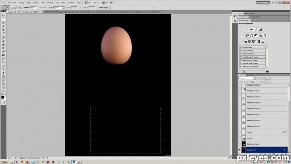 Creation of Embryo: Step 1