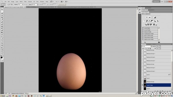 Creation of Embryo: Step 2