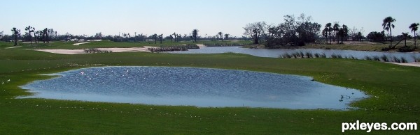 A New Golf Lake