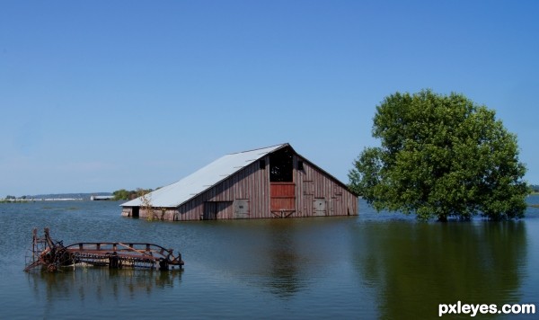 Fish Farm