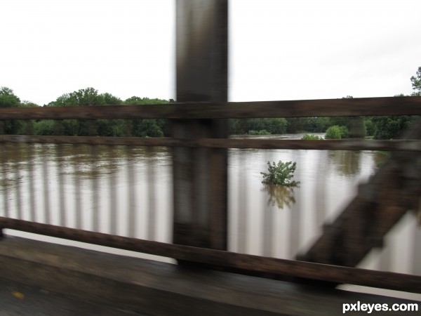 juniata river flood