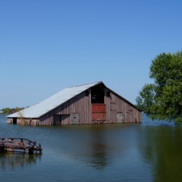 Fish Farm