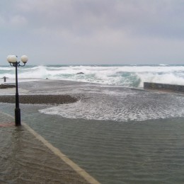 Wild sea Picture