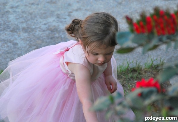 Flower Girl