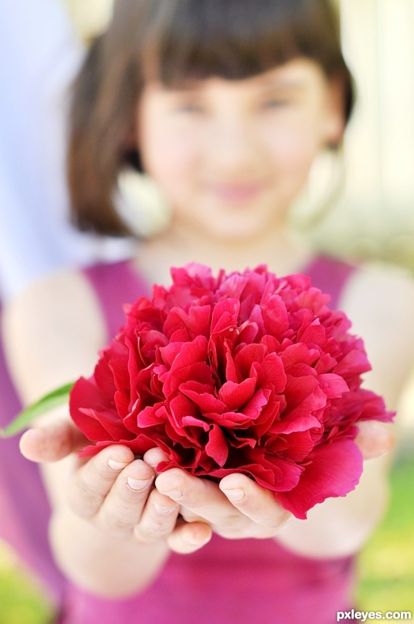 Red Peony