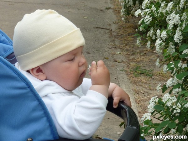 Stop to smell the flowers