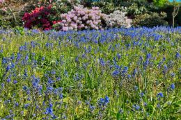 Springtime