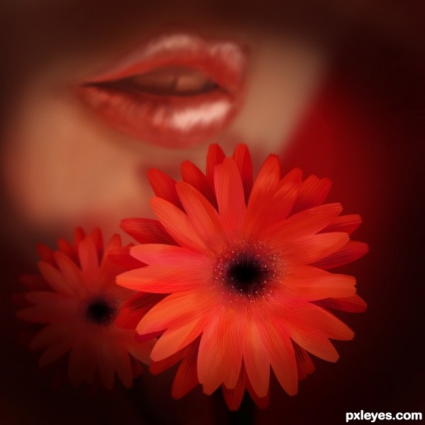Creation of Flower&Lips: Final Result