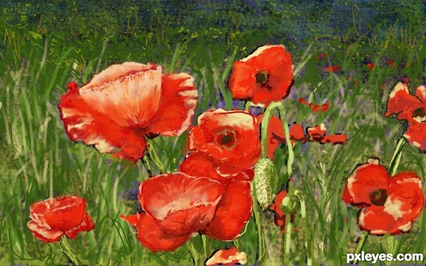 Creation of Thicket with Poppies: Final Result