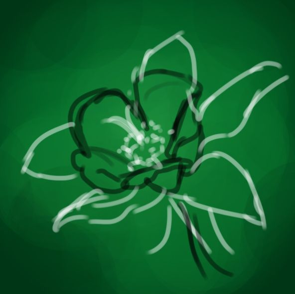 Creation of Favorite Flower: Step 1