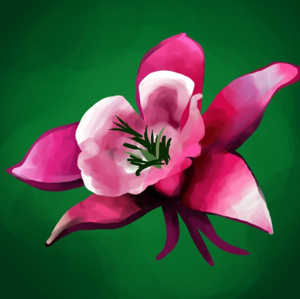 Creation of Favorite Flower: Step 4