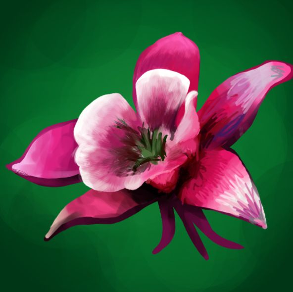 Creation of Favorite Flower: Step 5