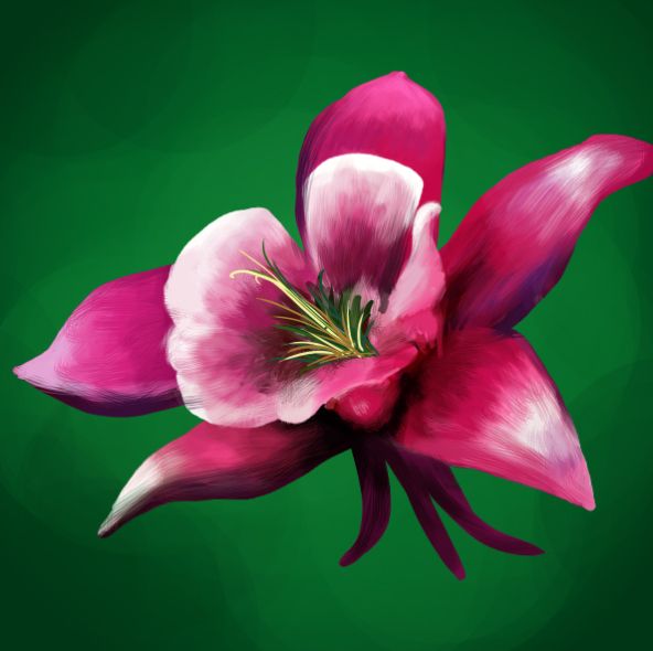 Creation of Favorite Flower: Step 6