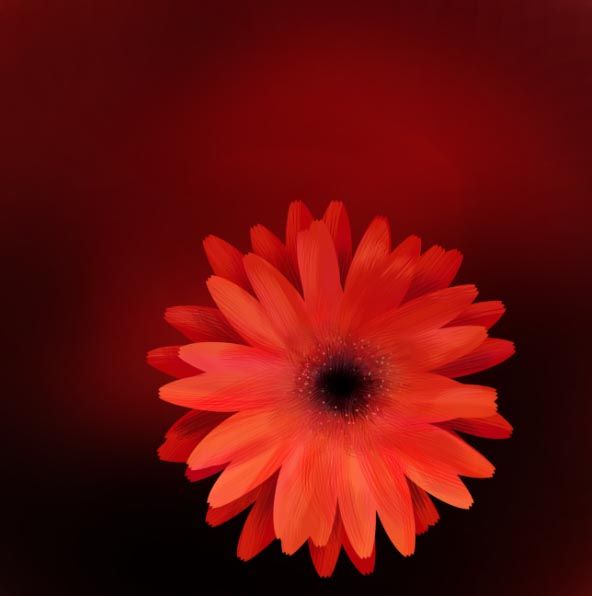 Creation of Flower&Lips: Step 5