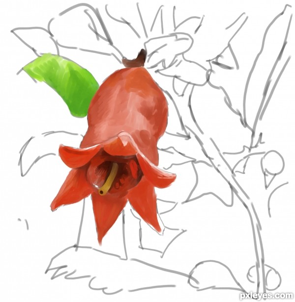 Creation of pomegranates flower: Step 3