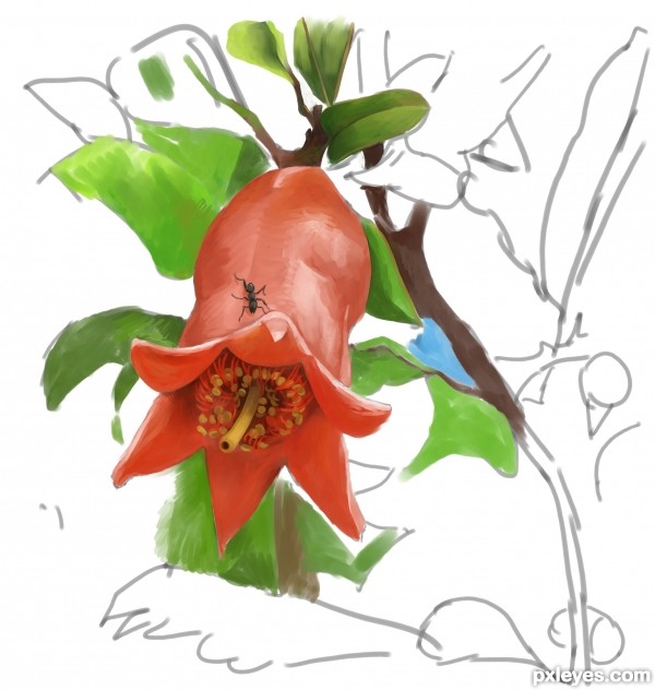 Creation of pomegranates flower: Step 5