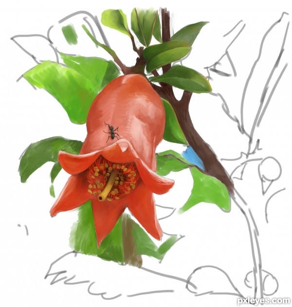 Creation of pomegranates flower: Step 6
