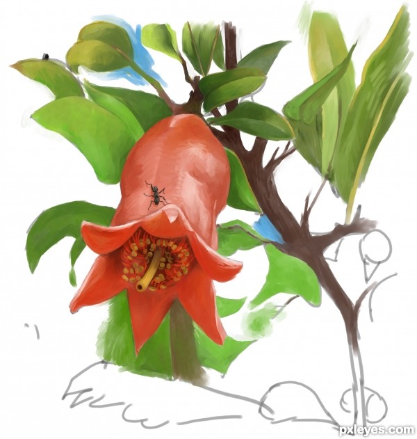 Creation of pomegranates flower: Step 7