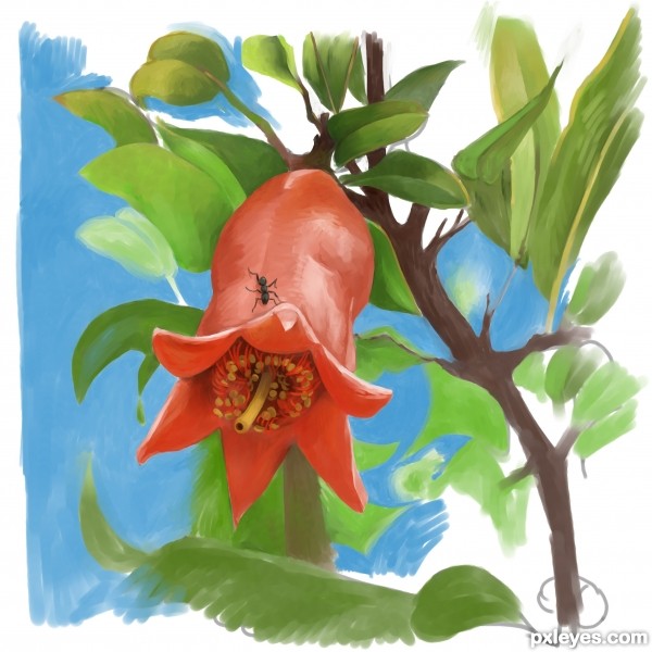 Creation of pomegranates flower: Step 8