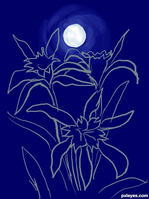 Creation of Lillies in the night: Step 2