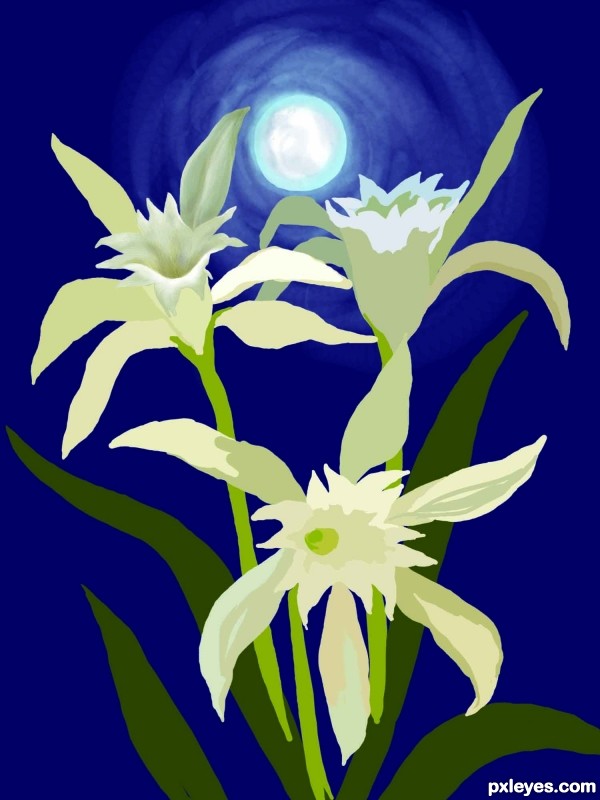 Creation of Lillies in the night: Step 4