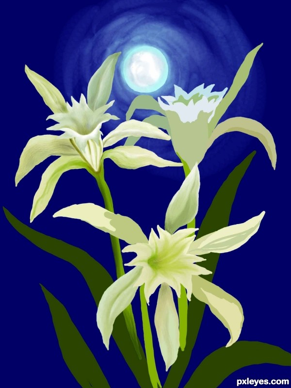Creation of Lillies in the night: Step 6